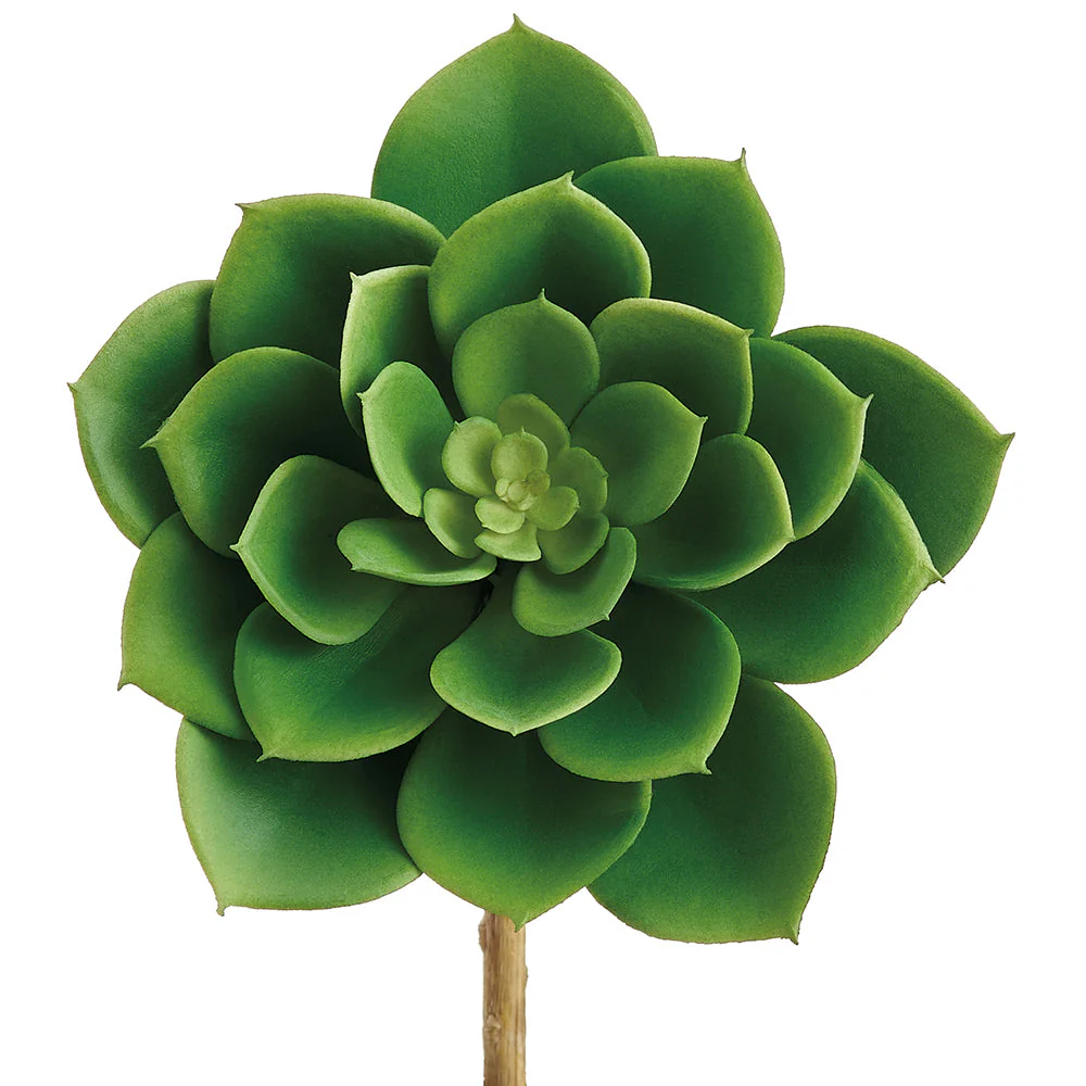 5.5"Hx4.5"W Outdoor UV-Resistant Artificial Echeveria Stem Pick -Green (Pack of 12)