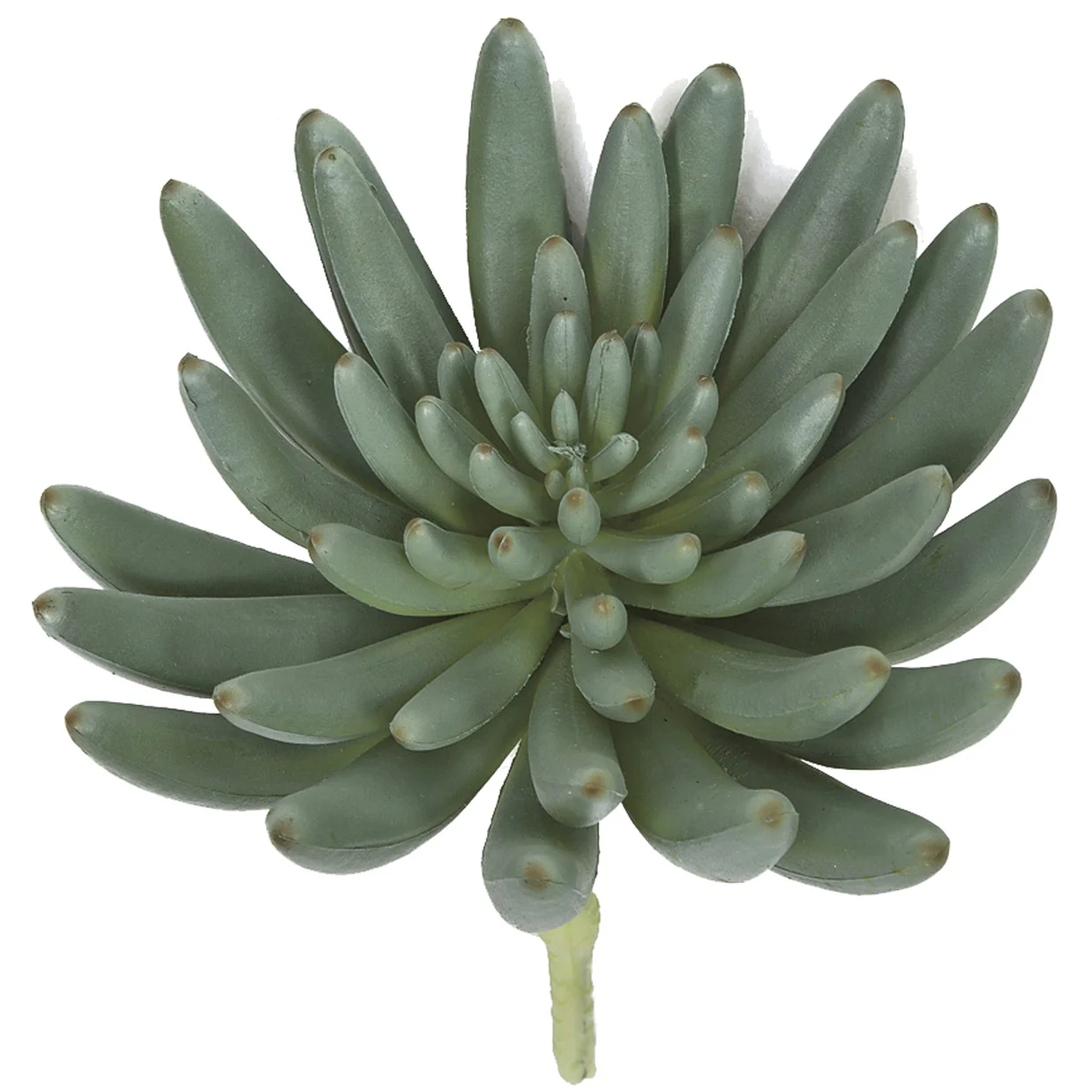 5.5"HX6"W IFR Artificial Aeonium Stem -Green/Gray (Pack of 6)