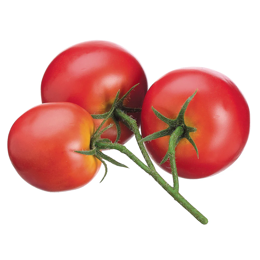 5" Artificial Tomato On The Vine -Red (Pack of 24)