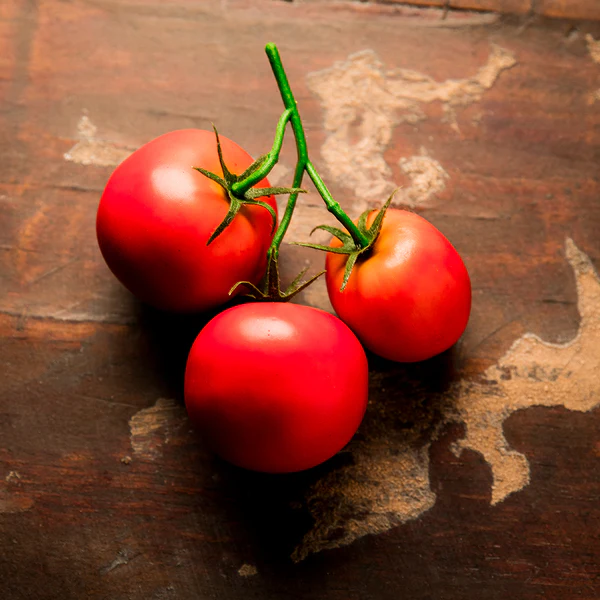 5" Artificial Tomato On The Vine -Red (Pack of 24) - Image 3