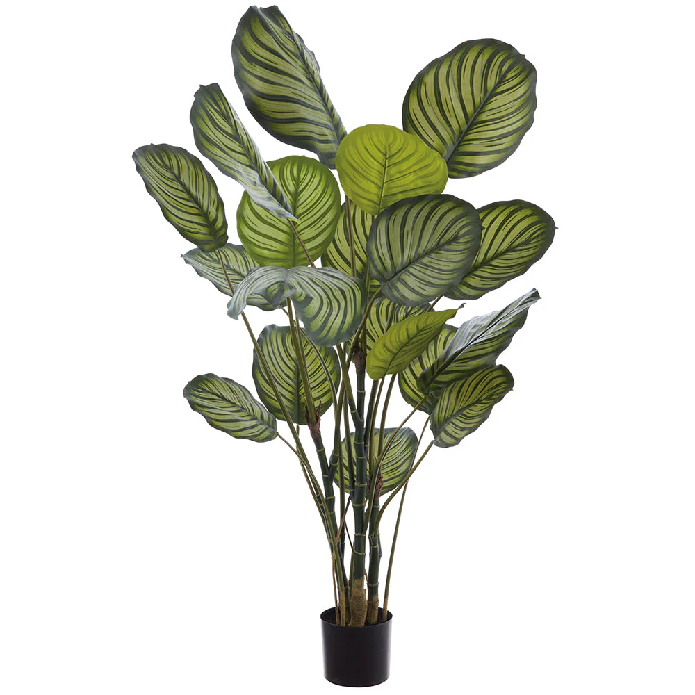 5' Calathea Leaf Silk Plant w/Plastic Pot -2 Tone Green (Pack of 2)