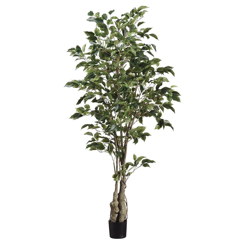 5' Ficus Silk Tree w/Pot -859 Leaves -Green (Pack of 4)