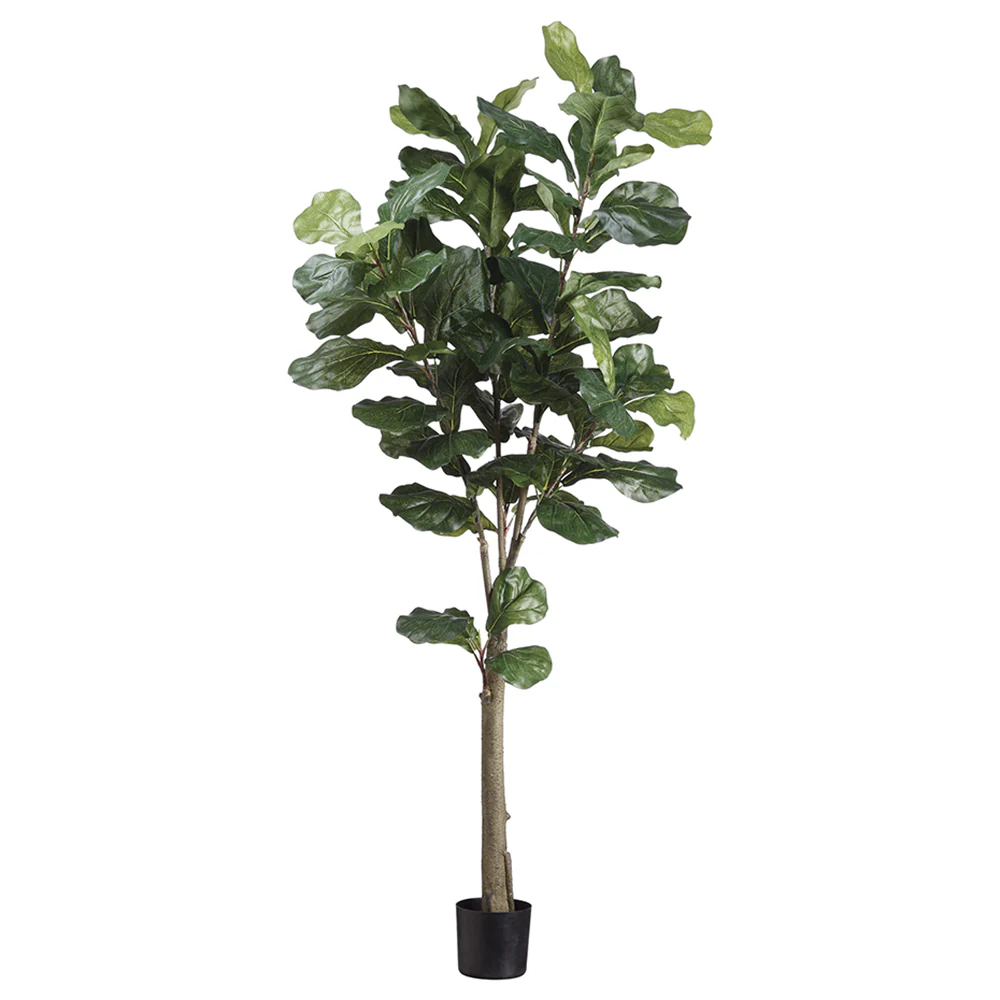 5' Fiddle Leaf Fig Silk Tree w/Pot -Green (Pack of 2)