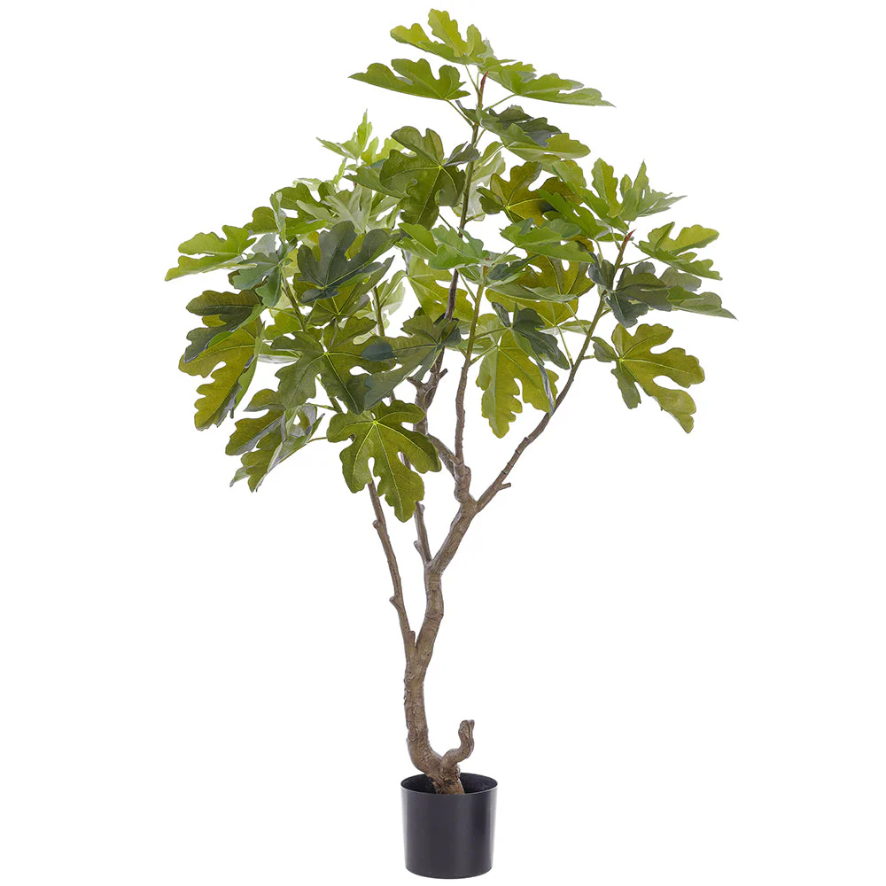 5' Fig Leaf Silk Tree w/Pot -Green (Pack of 2)