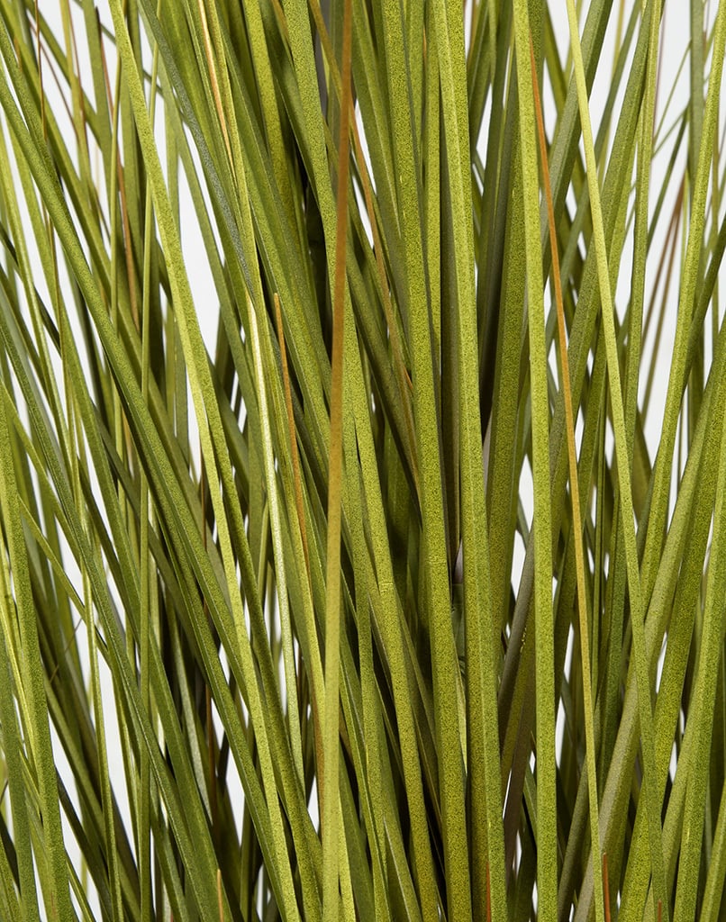 5' IFR PVC Onion Grass Artificial Plant w/Pot -Green/Yellow (Pack of 2) - Image 2