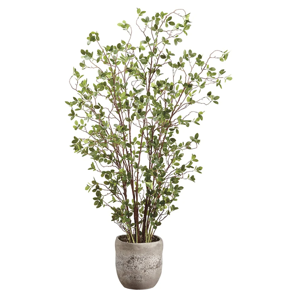 5' Mini Leaf Silk Plant w/Cement Planter -Green