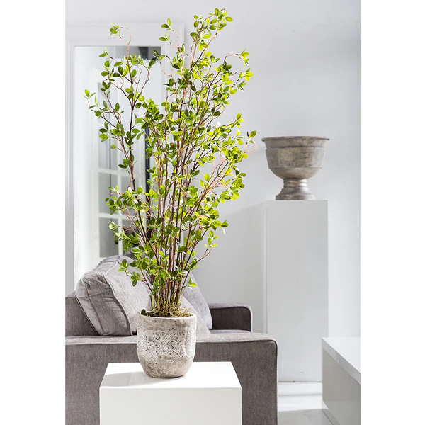 5' Mini Leaf Silk Plant w/Cement Planter -Green - Image 3