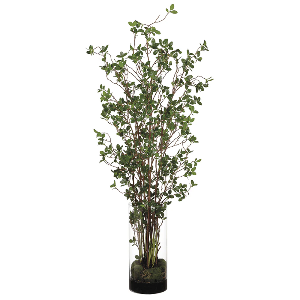 5' Mini Leaf Silk Plant w/Cylinder Glass Vase -Green