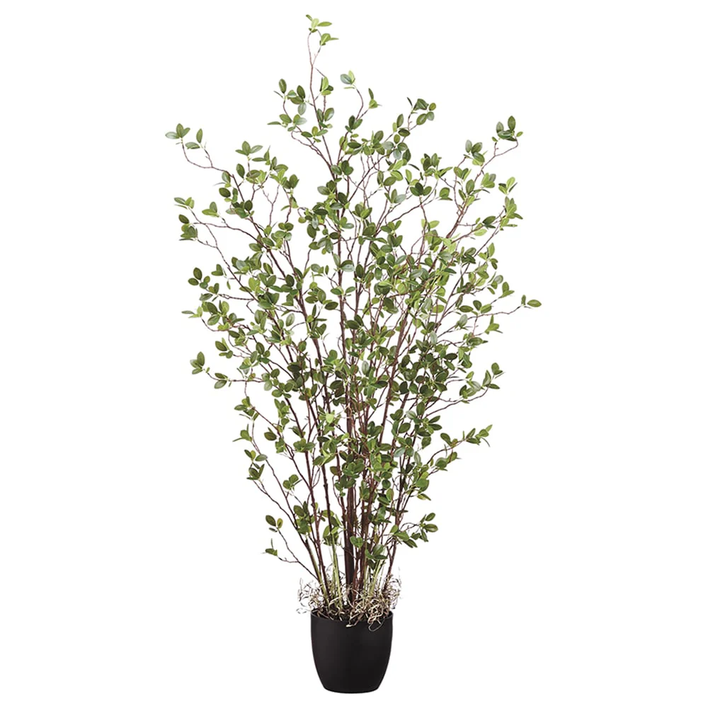 5' Mini Leaf Silk Plant w/Pot -Green