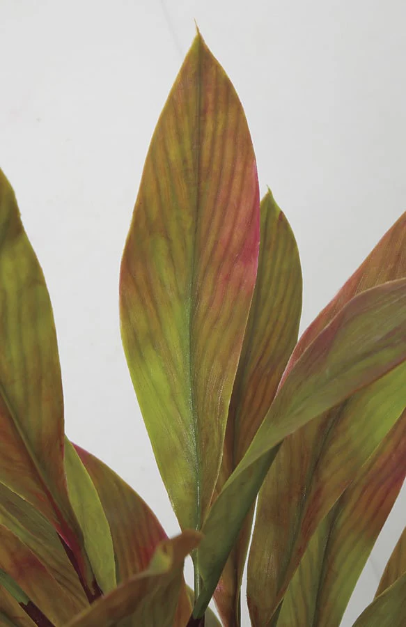 5' Outdoor UV-Proof Artificial Cordyline Plant -Red/Green - Image 2
