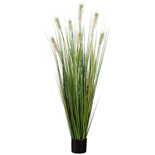 5' Pampas Grass Silk Plant w/Pot -2 Tone Green (Pack of 4)