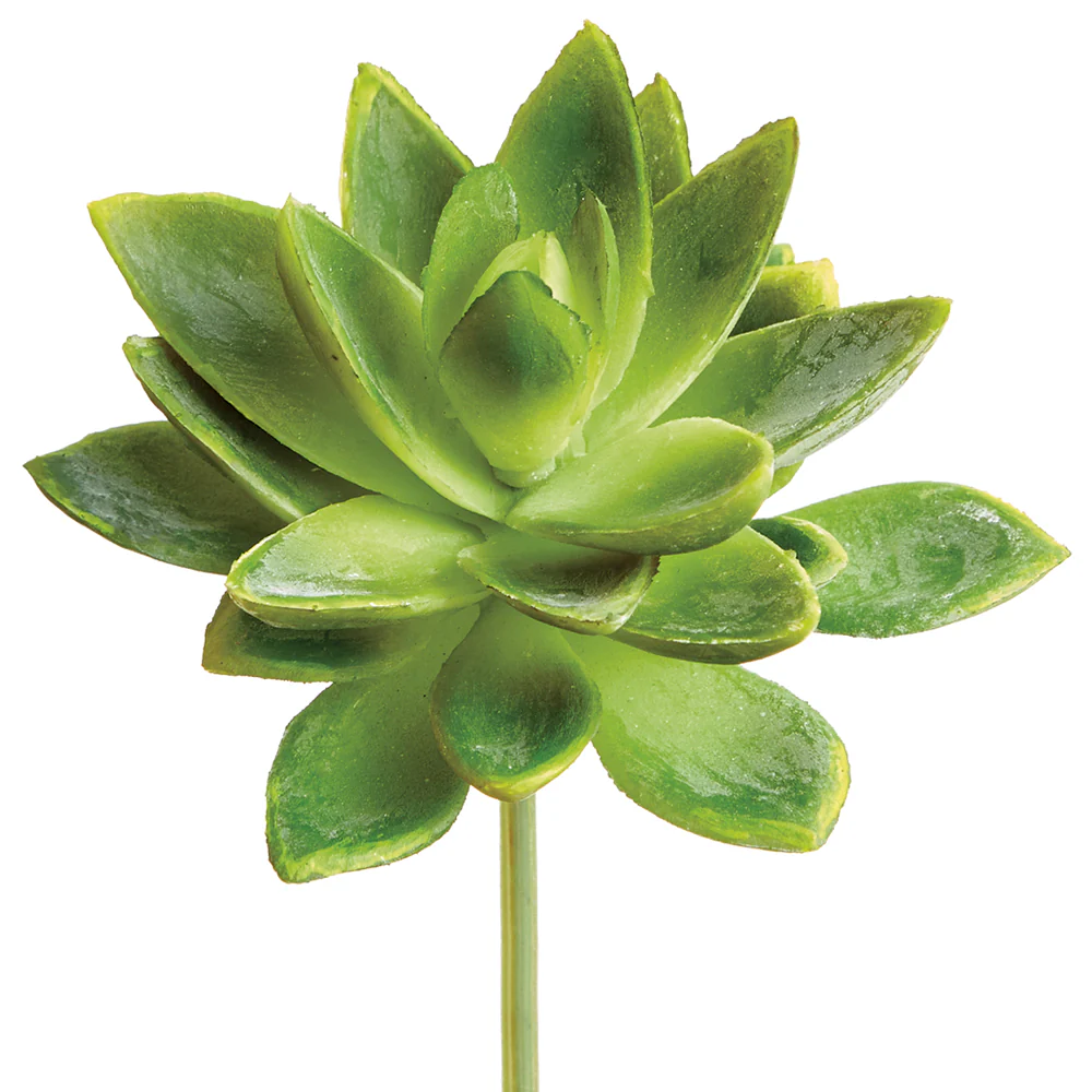 5" Real Touch Mini Artificial Agave Stem Pick -2 Tone Green (Pack of 12)