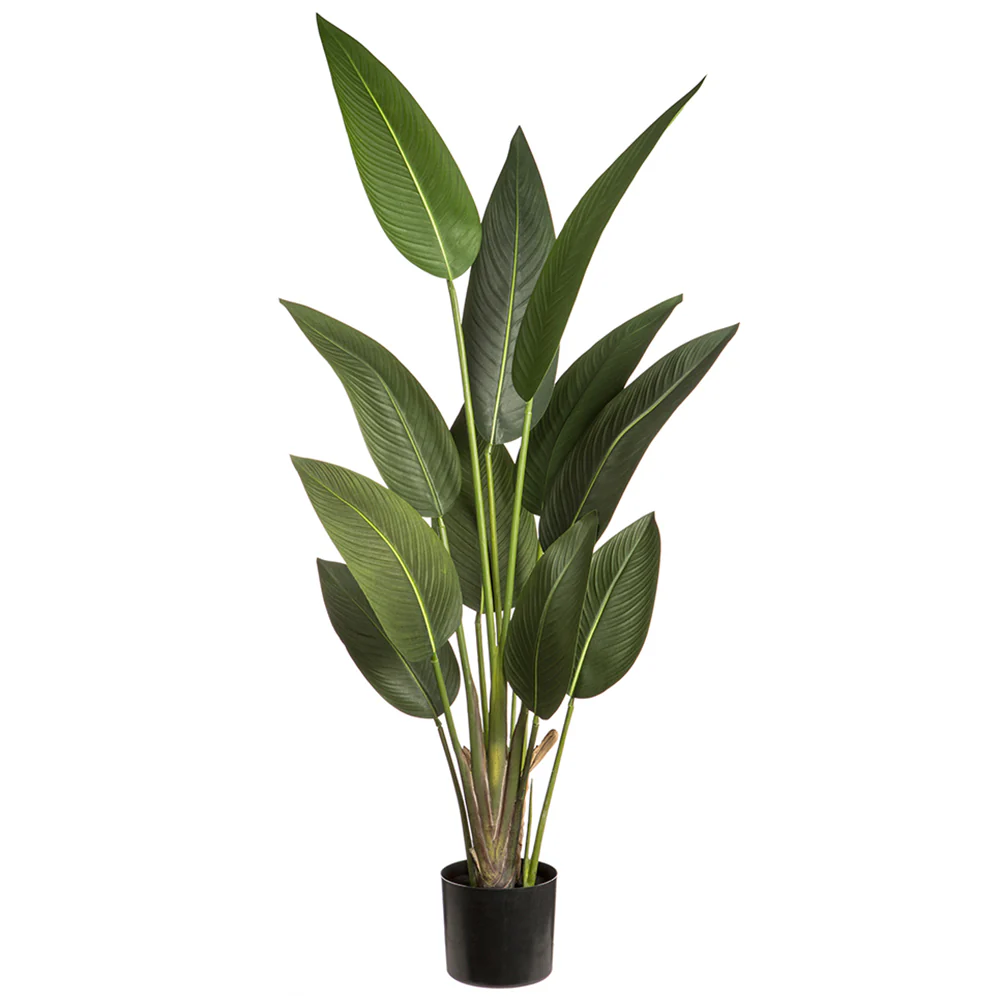 5' Silk Bird Of Paradise Palm Tree w/Plastic Pot -Green (Pack of 2)