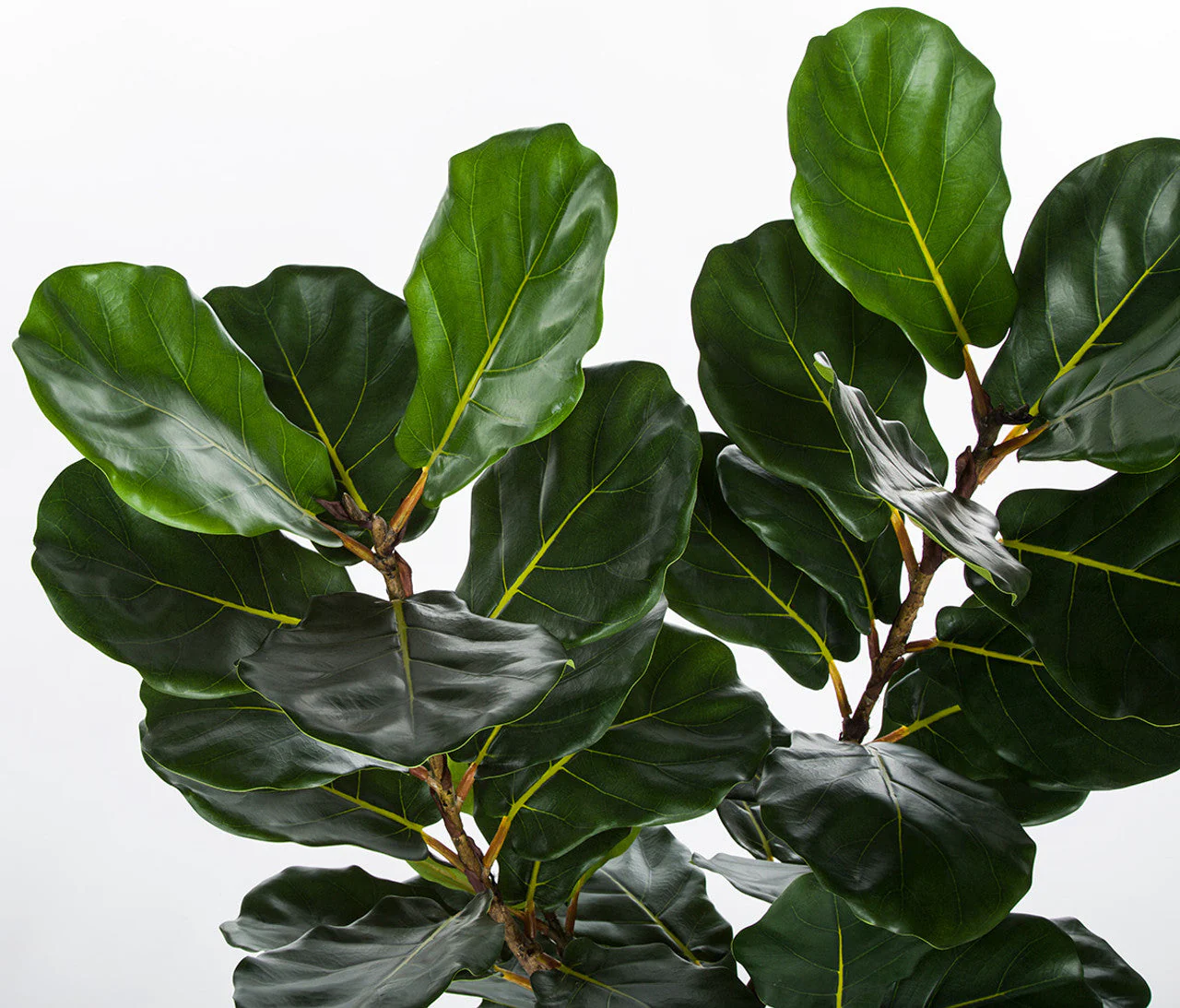 5' Soft-Touch Silk Fiddle Leaf Fig Tree w/Pot -Green - Image 2