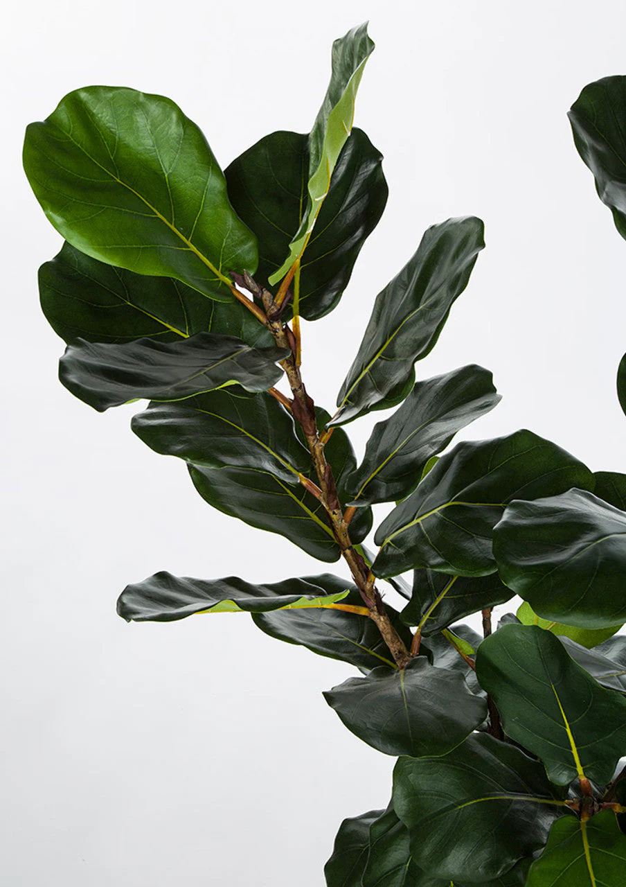 5' Soft-Touch Silk Fiddle Leaf Fig Tree w/Pot -Green - Image 3