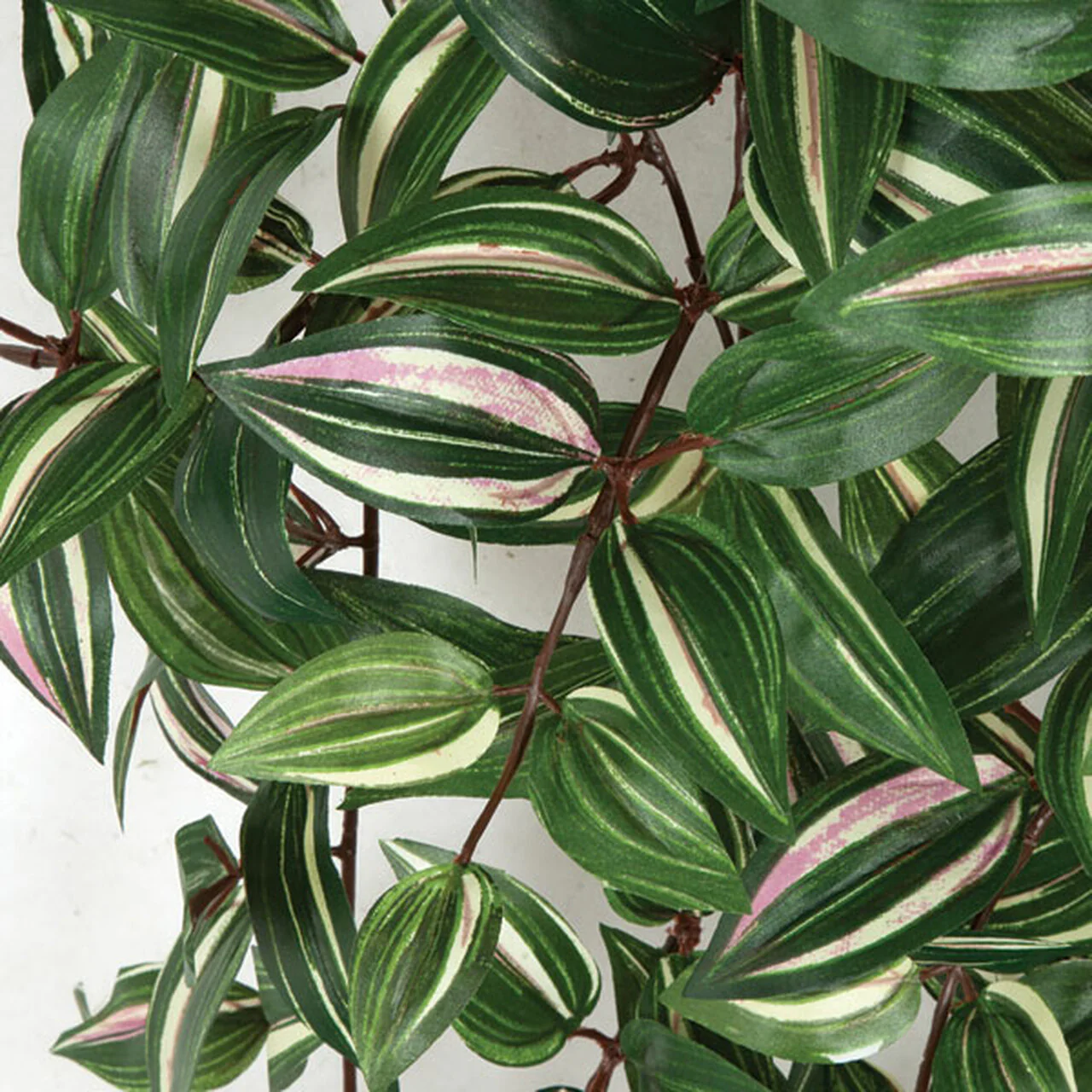 50" Hanging Wandering Jew Silk Plant -Green/Pink (Pack of 4) - Image 2