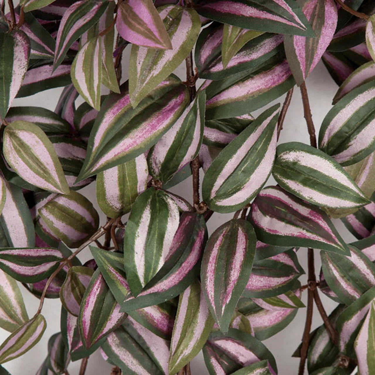 50" Hanging Wandering Jew Silk Plant -Pink/Green (Pack of 4) - Image 2