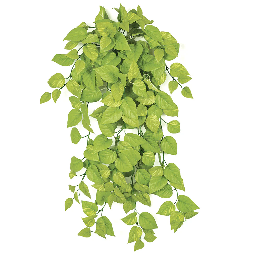 50" IFR Pothos Ivy Artificial Hanging Plant -Light Green (Pack of 4)