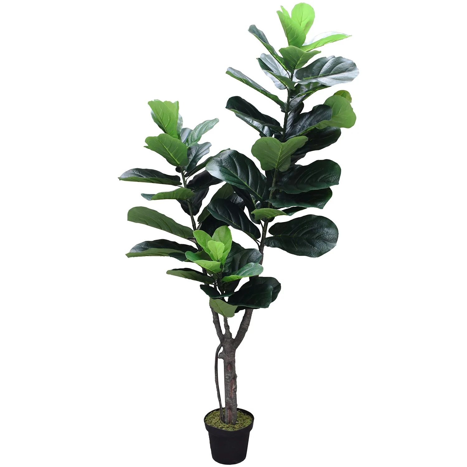5'10" Real Touch Fiddle Leaf Fig Silk Tree w/Pot -77 Leaves -Green