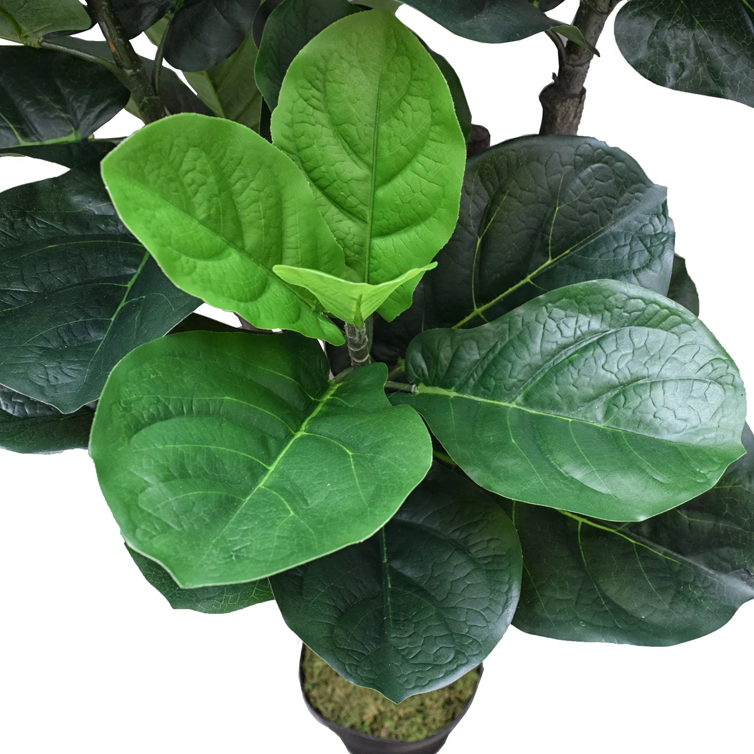 5'10" Real Touch Fiddle Leaf Fig Silk Tree w/Pot -77 Leaves -Green - Image 2