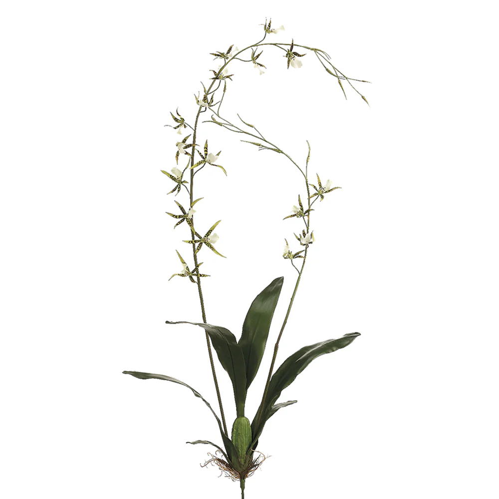 52" Hand-Wrapped Silk Brassia Orchid Plant Flower Spray -Green (Pack of 4)