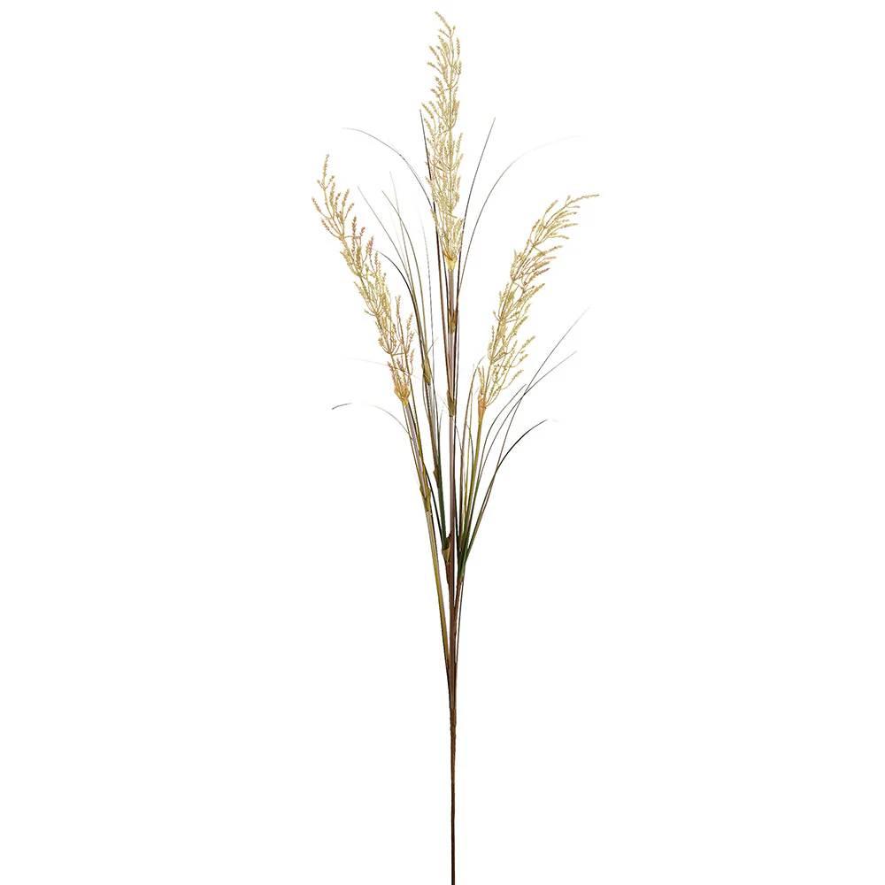 53.5" Blooming Artificial Pampas Grass Stem -Mauve/Green (Pack of 20)