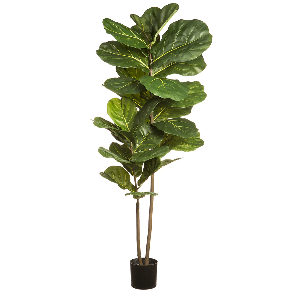 5'3" Double Trunk Silk Fiddle Leaf Fig Tree w/Plastic Pot -Green (Pack of 2)