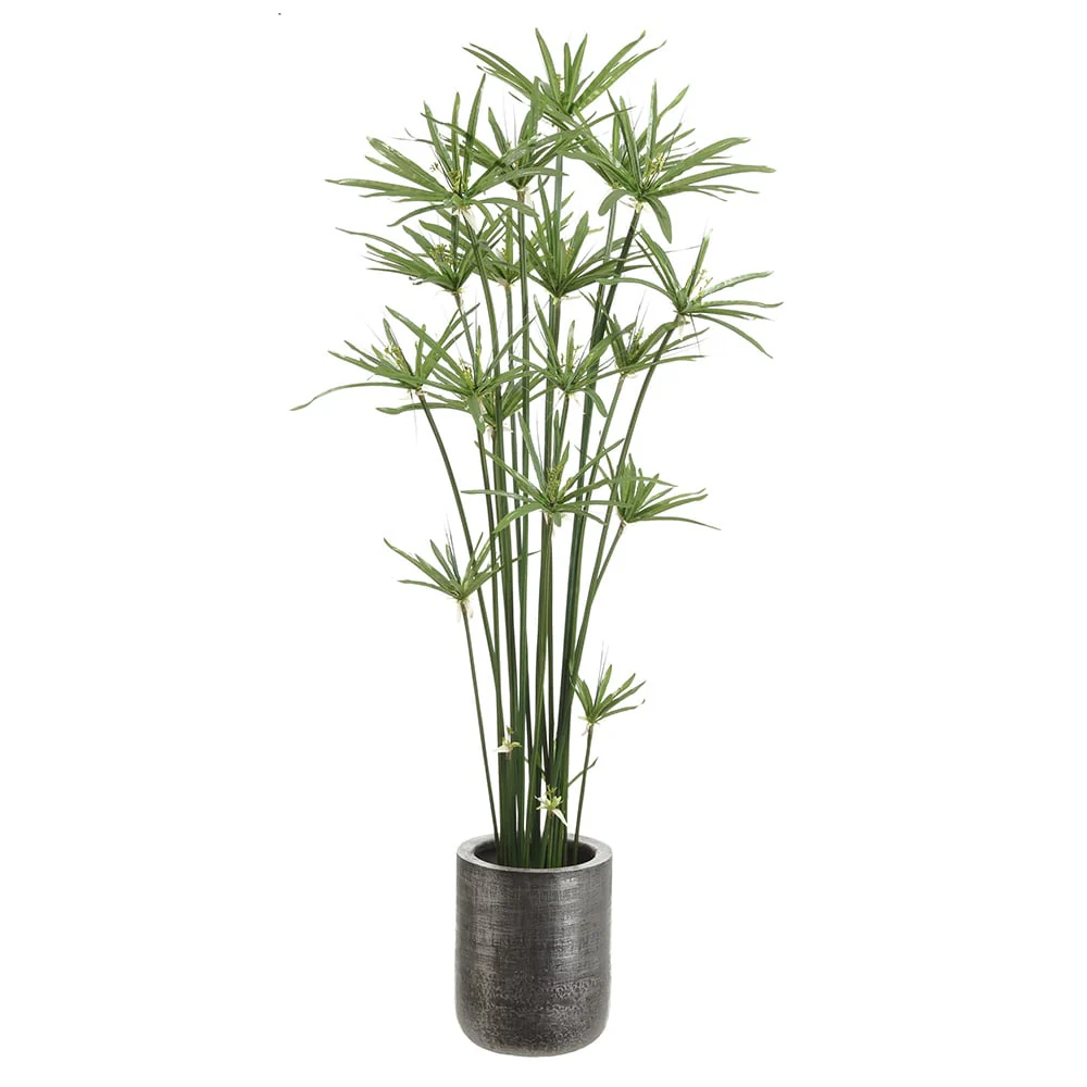 5'4" Artificial Cyperus Papyrus Grass Plant w/Planter -Green