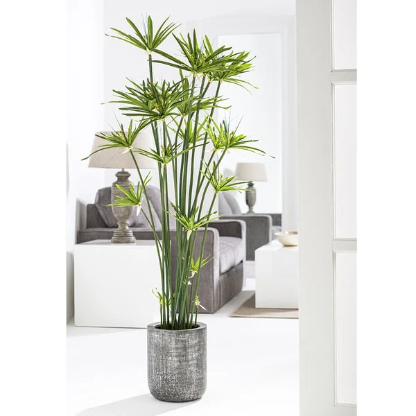 5'4" Artificial Cyperus Papyrus Grass Plant w/Planter -Green - Image 2