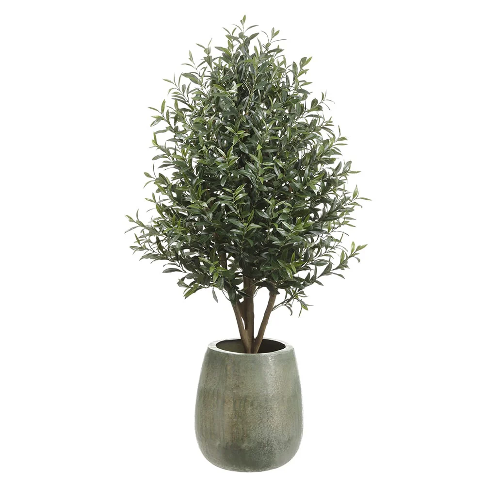 5'4" Olive Silk Tree w/Textured Planter -Green