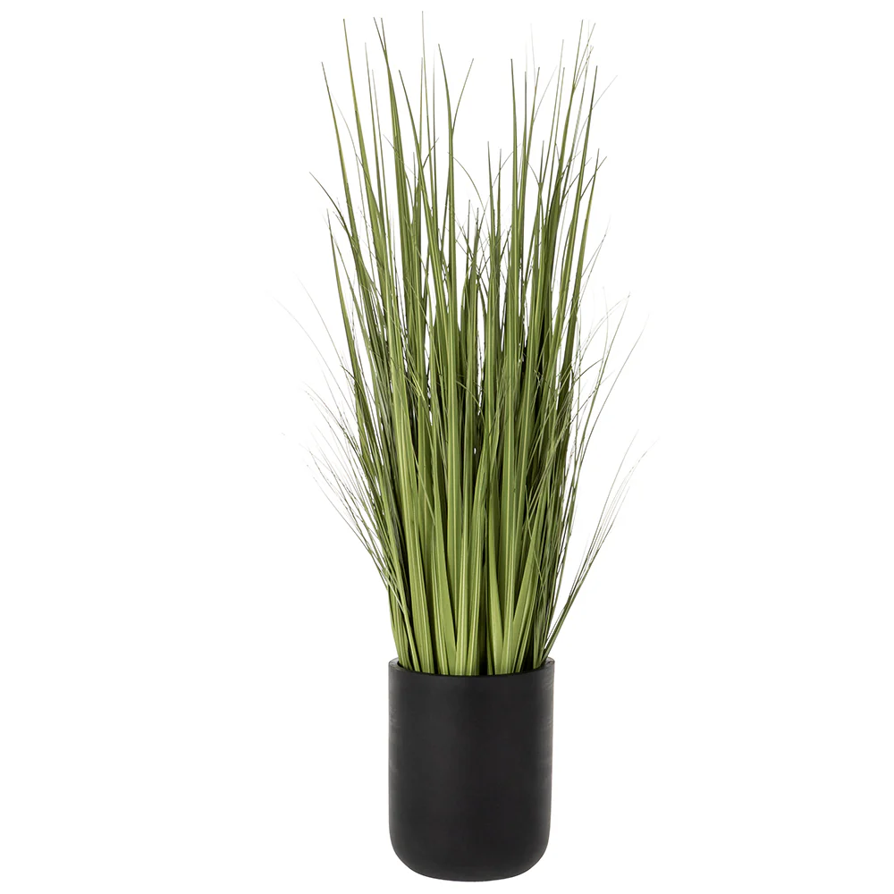 5'4"Hx15"W Wild Grass Artificial Plant w/Black Cement Planter -Light Green
