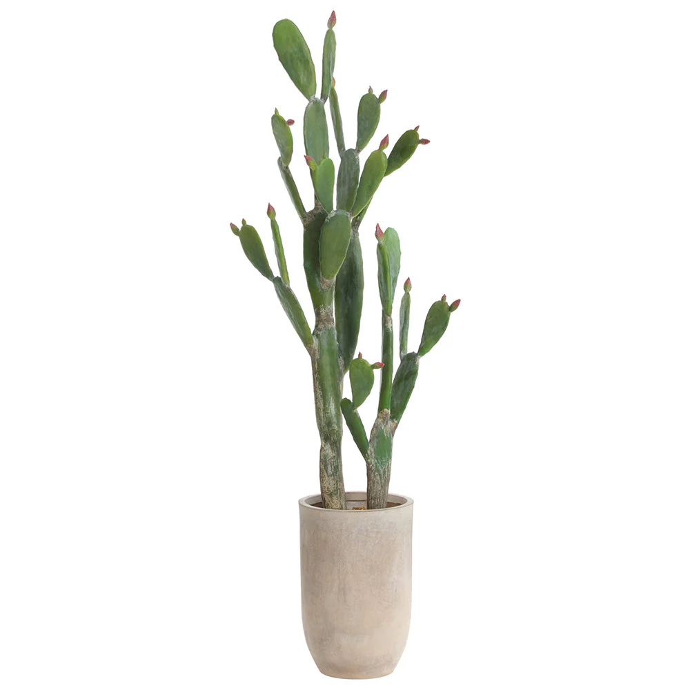 5'4"Hx25"W Bunny Ear Cactus Artificial Plant w/Cement Planter -Green