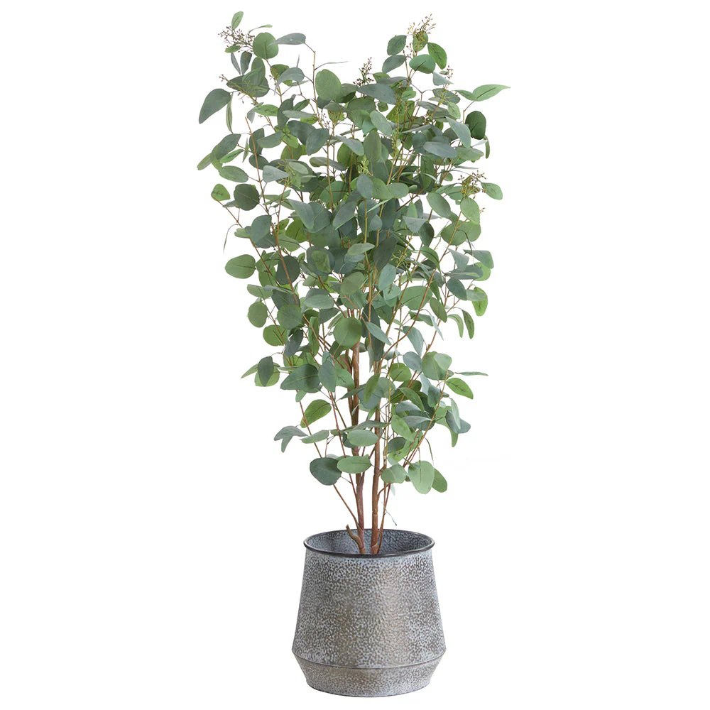 5'4"Hx32"W Eucalyptus Leaf Silk Tree w/Metal Pot -Green