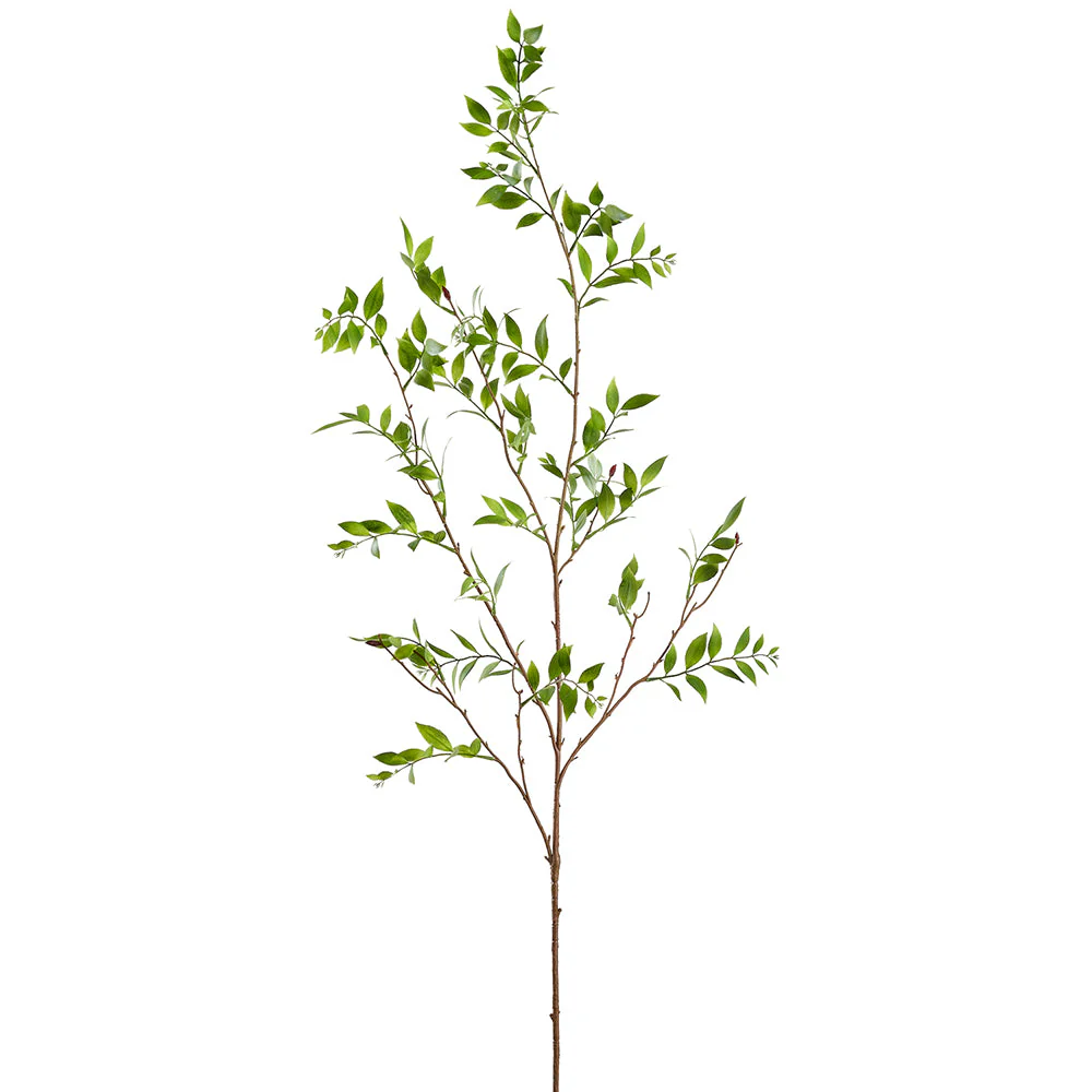 55" Broadleaf Podocarpus Leaf Silk Branch Stem -Green (Pack of 12)