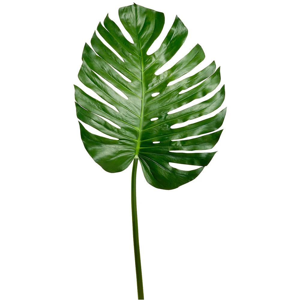 55" Silk Split Philodendron Monstera Leaf Stem -Green (Pack of 6)