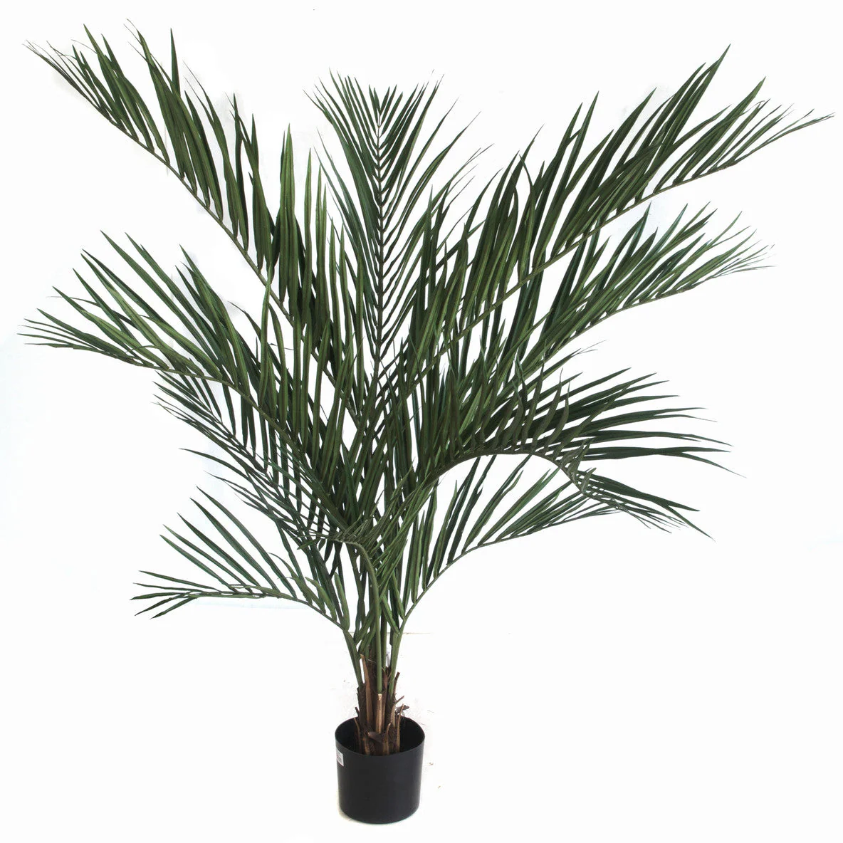 5'6" IFR Areca Artificial Palm Tree w/Pot -Green