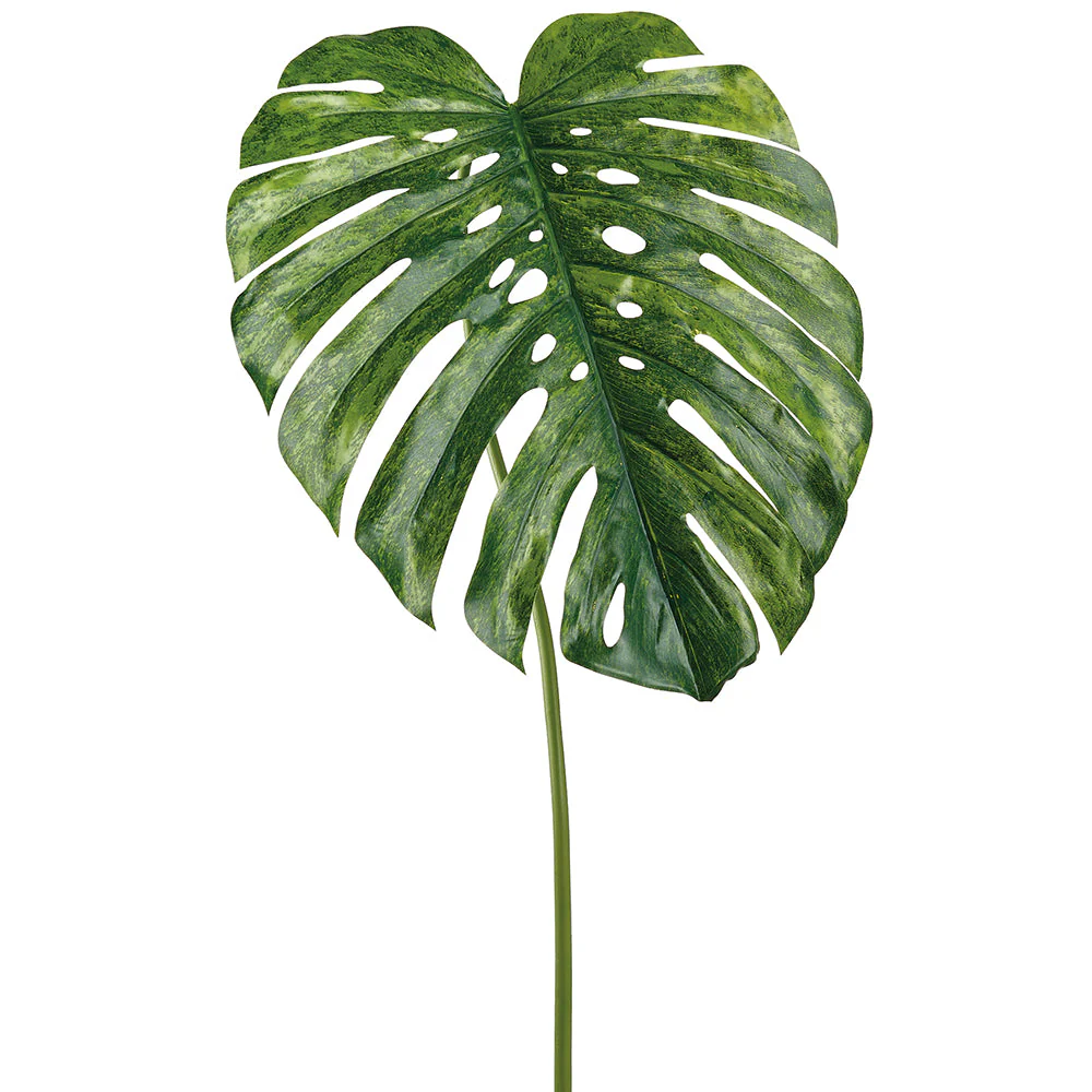 56" Monstera Split Philodendron Leaf Silk Stem -2 Tone Green (Pack of 6)
