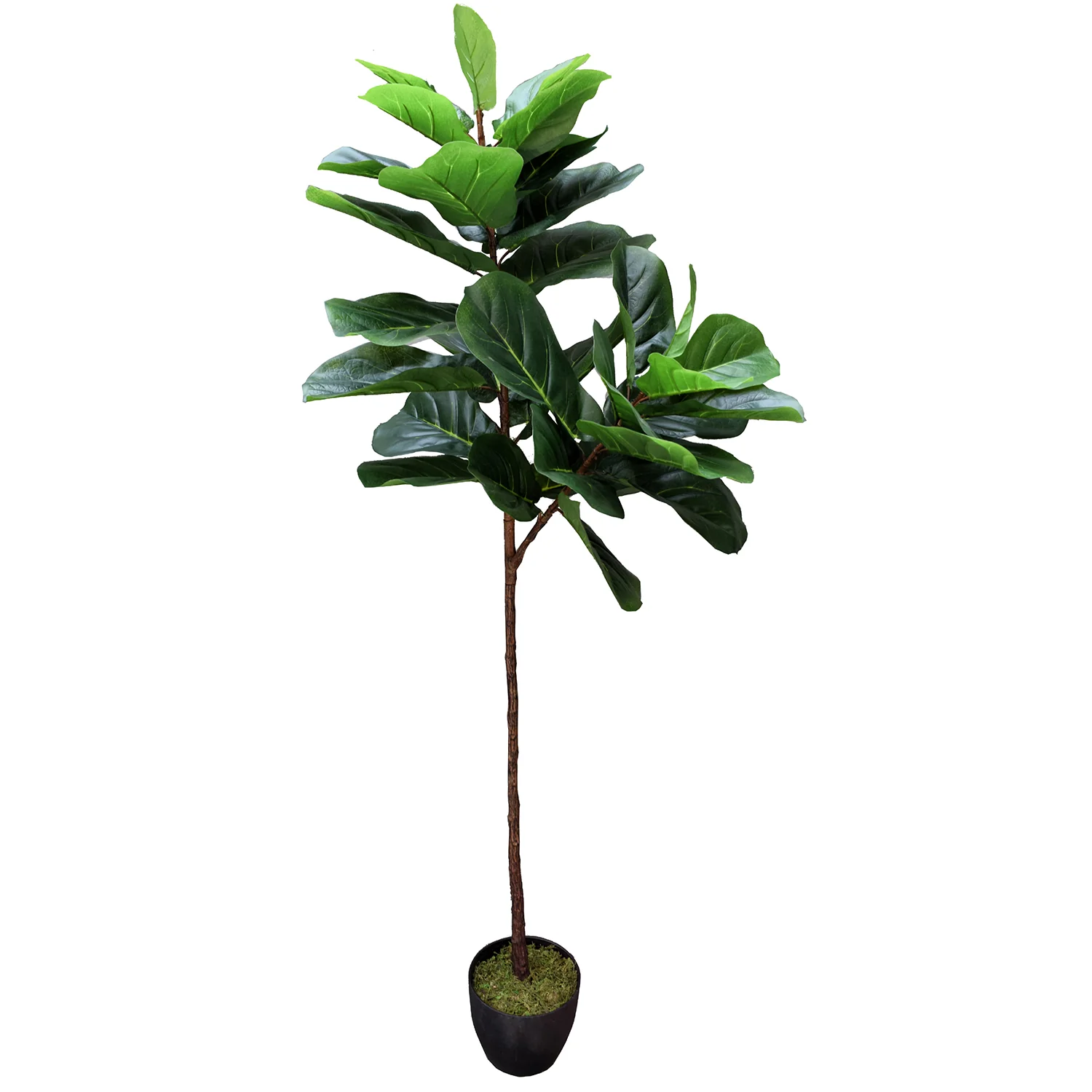 5'6" Real Touch Fiddle Leaf Fig Silk Tree w/Pot -34 Leaves -Green