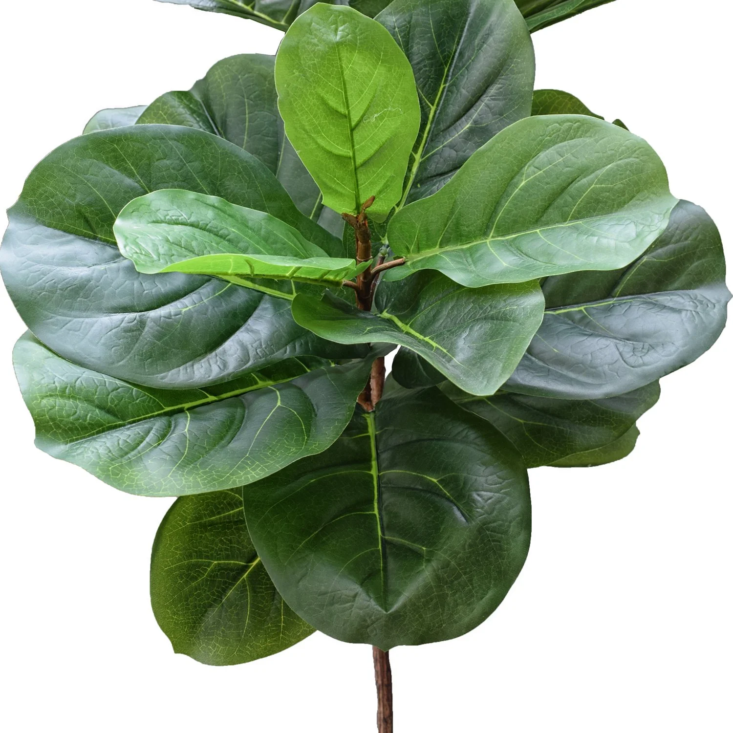 5'6" Real Touch Fiddle Leaf Fig Silk Tree w/Pot -34 Leaves -Green - Image 2