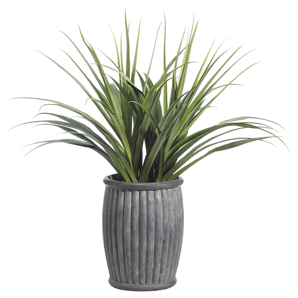 5'8" Dracaena Silk Plant w/Fiber Cement Planter -Green