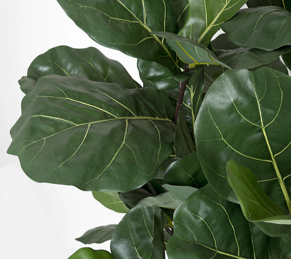 5'8" IFR Fiddle Leaf Fig Artificial Tree w/Pot -Green - Image 2