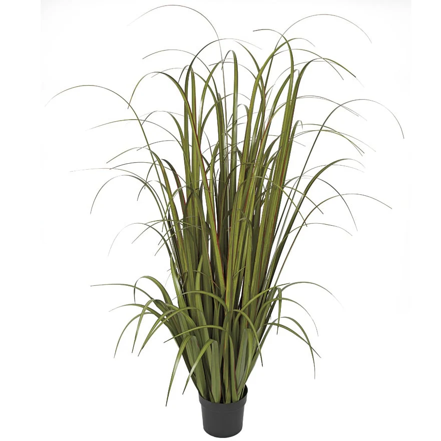 5'8" IFR PVC Wide Leaf Onion Grass Artificial Plant w/Pot -Green/Red