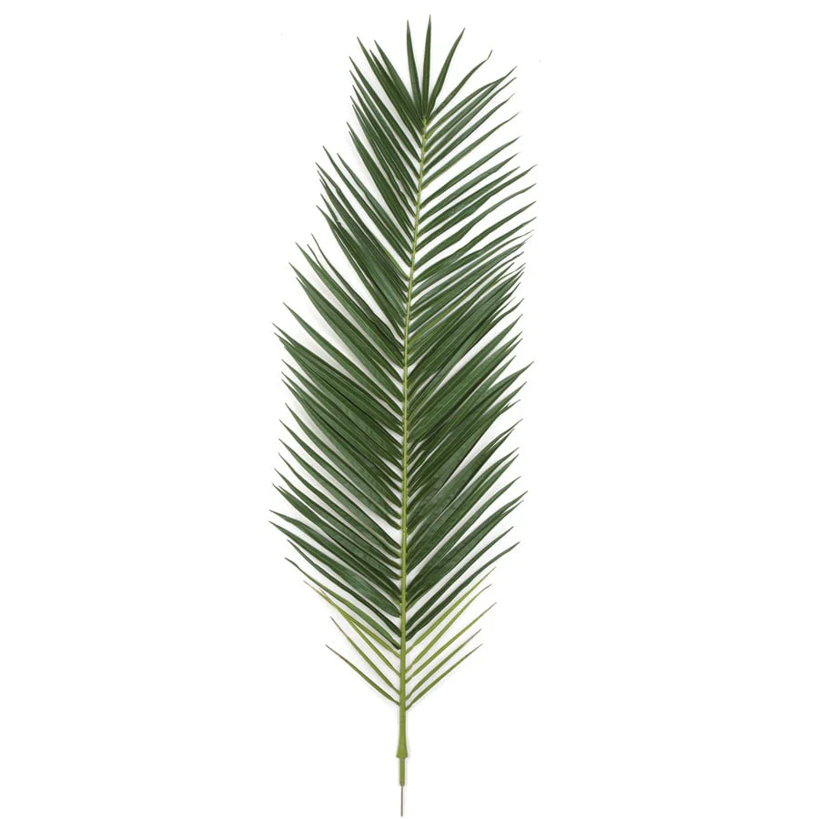 59.5" IFR Silk Phoenix Palm Branch Stem -Green (Pack of 6)