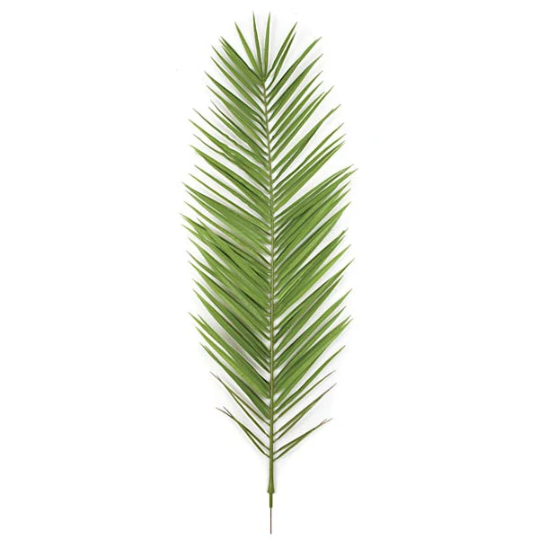 59.5" IFR Silk Phoenix Palm Branch Stem -Light Green (Pack of 6)
