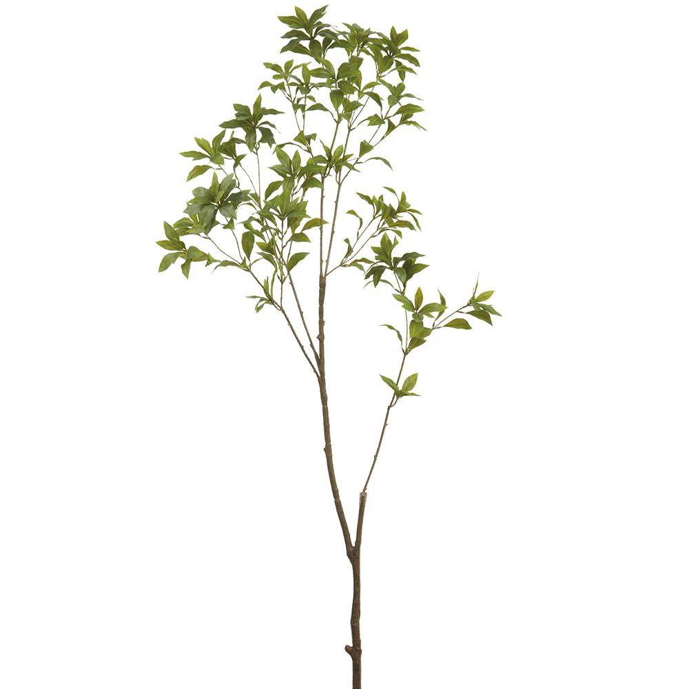 59" Pieris Japonica Leaf Silk Stem -Green (Pack of 12)