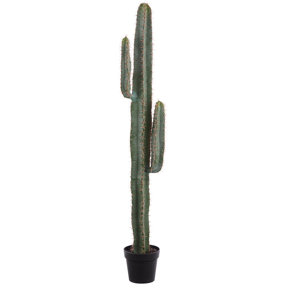 59" Saguaro Cactus Artificial Plant w/Plastic Pot -Green (Pack of 2)