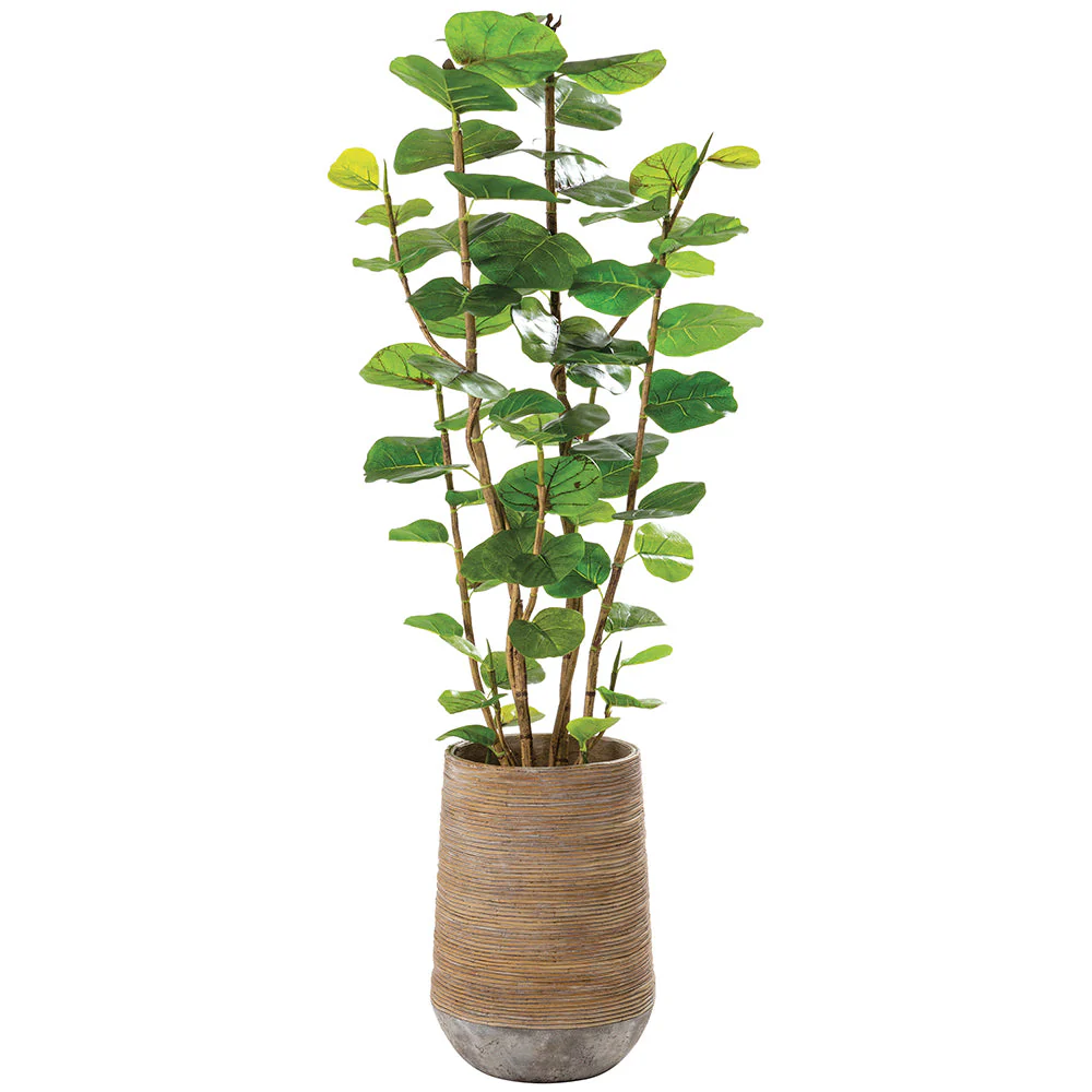 5'9"Hx24"W Seagrape Leaf Artificial Tree w/Cement Planter -Green