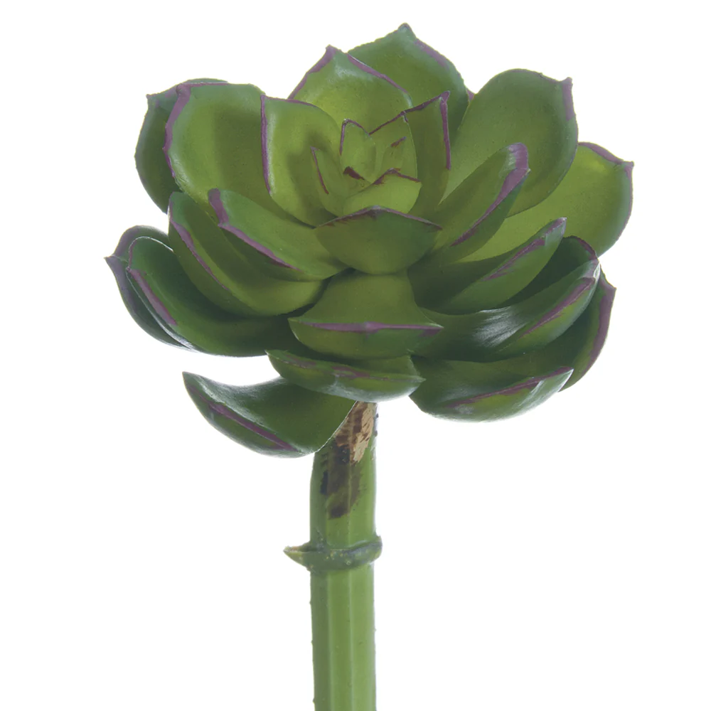 5"Hx2.5"W Real Touch Echeveria Artificial Stem Pick -Green/Plum (Pack of 24)