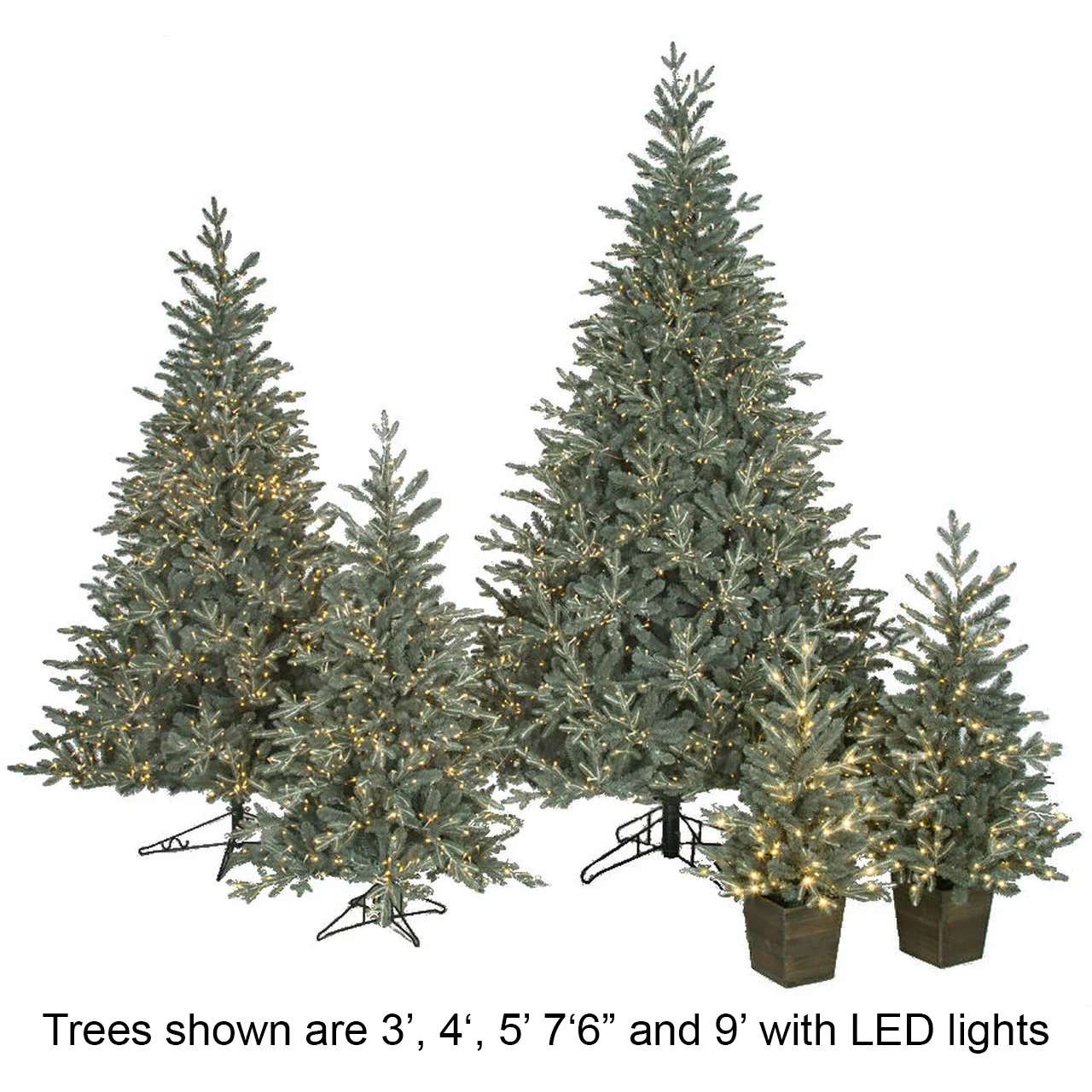5'Hx43"W PE Appalachian Fir Artificial Christmas Tree, Micro LED Pre-Lit (Twinkle) -Green/Blue - Image 2