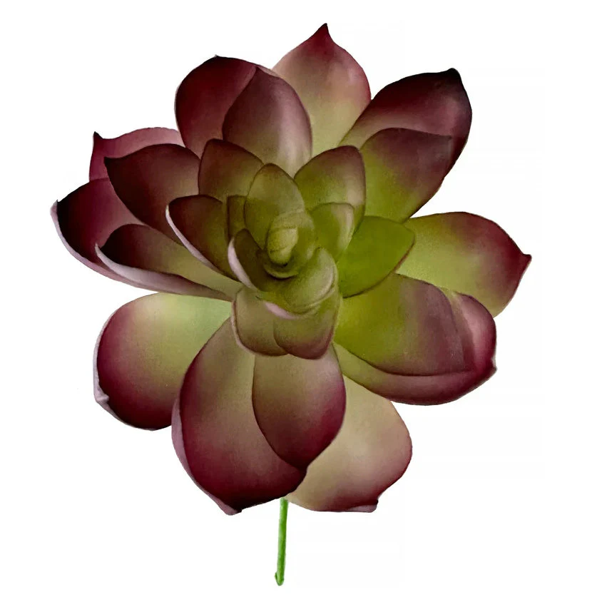 5"HX4"W Artificial Echeveria Stem -Purple/Green (Pack of 12)